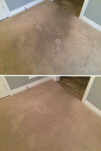 carpet cleaning before and after of a room with off-white carpeting