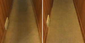 carpet cleaning before and after of a hallway with wood panelling