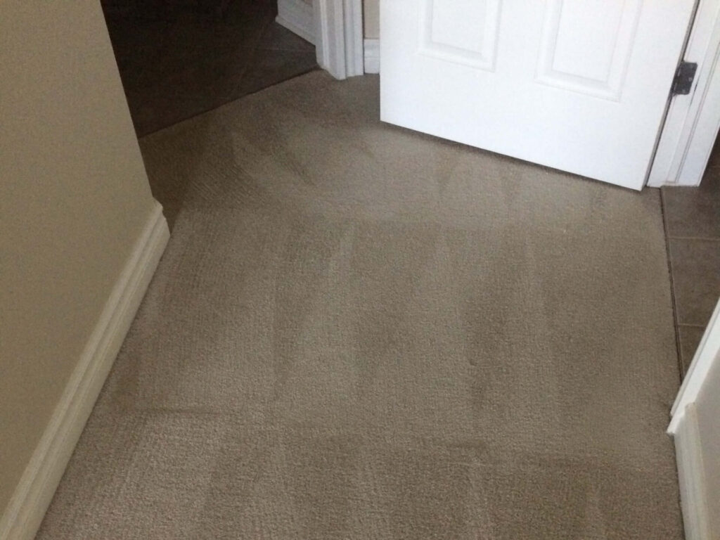 carpeted hallway with triangular grooming marks