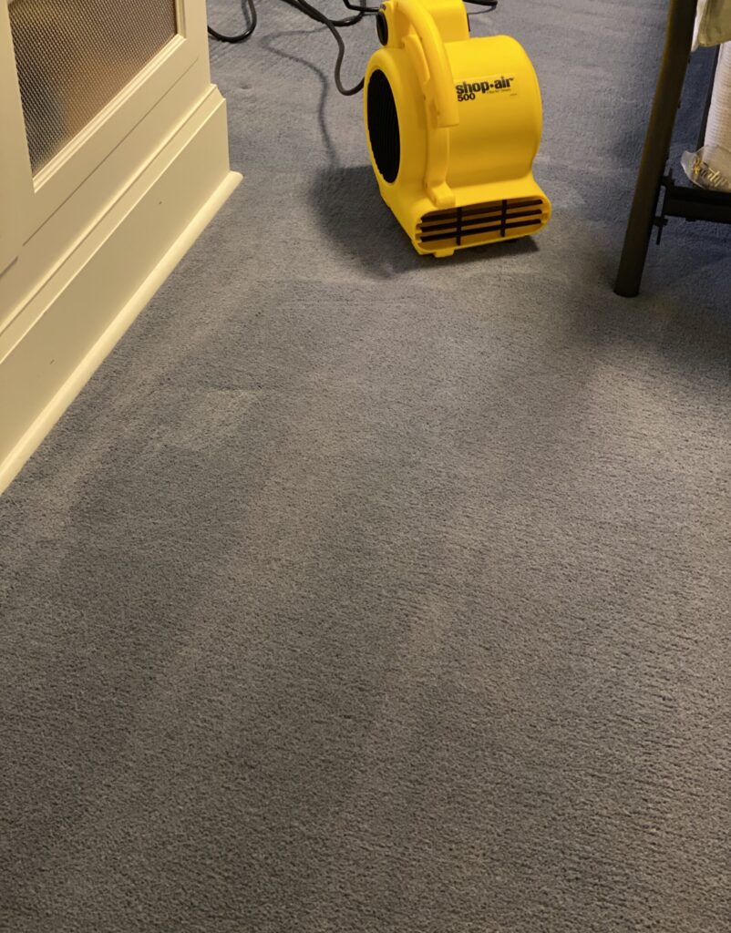 bedroom carpet with drying fan